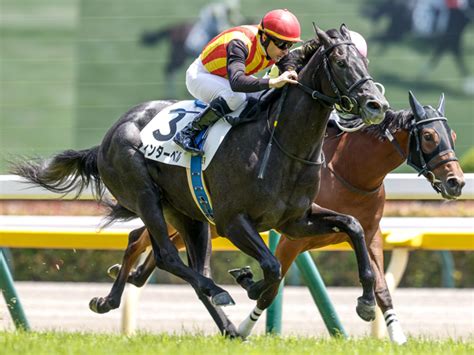 【東京5r新馬戦結果】東の一番星はバゴ産駒のウィンターベル 競馬ニュース Netkeiba