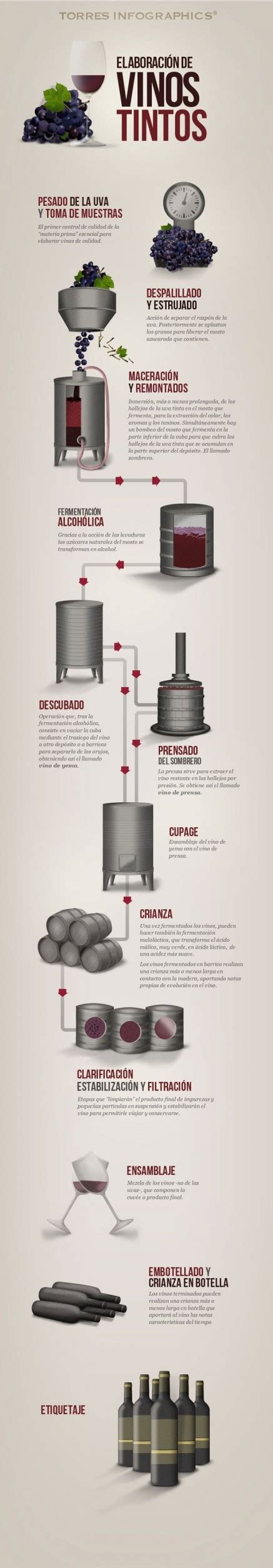 12 infografías sobre la elaboración del vino vinopack