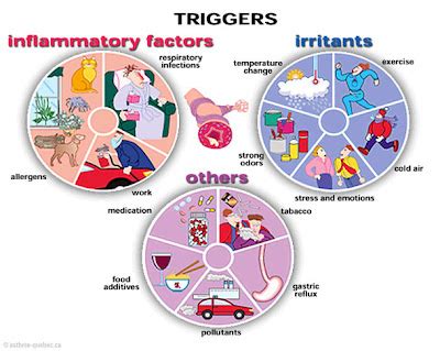 Asthma and Allergy: Asthma Causes