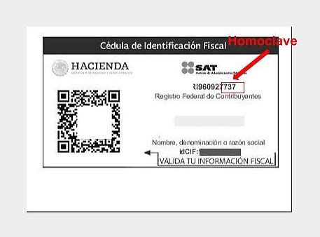 Rfc Con Homoclave Cu Ntos D Gitos Y C Mo Se Conforma Gu A Completa