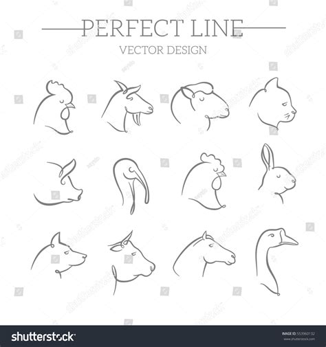 Animals Vector Line Icons Set Stock Vector (Royalty Free) 553960132 | Shutterstock