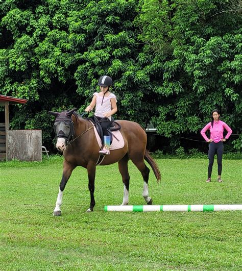 Horseback Riding Lessons – FAMILY HORSE ACADEMY