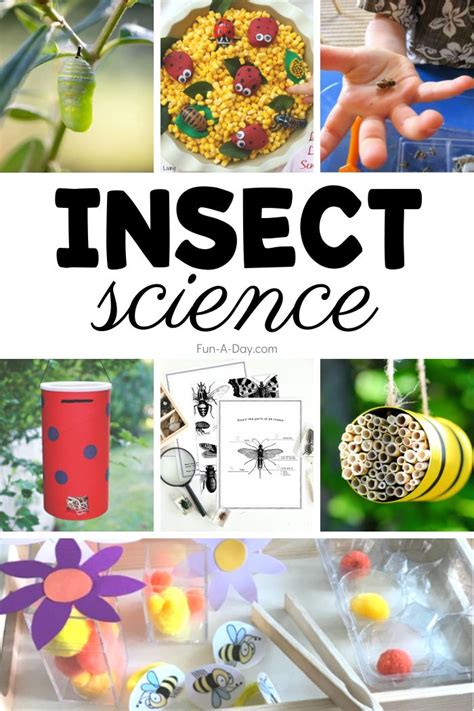 30 Insect Science Activities For Preschoolers Preschool Insects Activities Insect Activities