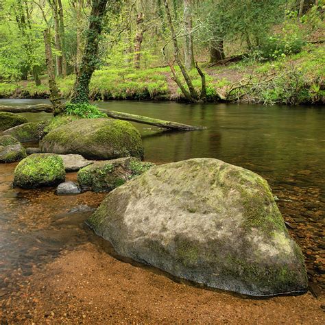 Stunning Peaceful Spring Landscape Image Of River Teign Flowing