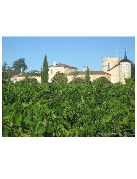 Château Peybonhomme Les Tours Blanc Bonhomme 2021 Blaye Côtes de Bordeaux