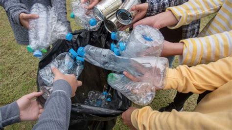 Wwf Ecuador Enfocará La Hora Del Planeta En El Combate De La