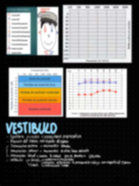 Solution Patologia Del Oido Interno Studypool