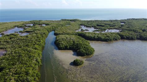 Lanresc Ocr Laguna De T Rminos