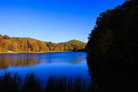 Gallery: Fall leaves in Brown County State Park - The Bloomingtonian