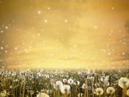 Dandelions Summer Worship Motion | Videos2Worship | WorshipHouse Media