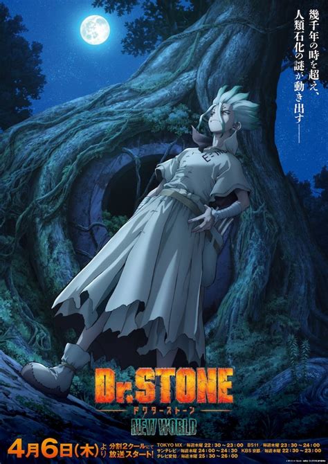 Drstone New World 声優・キャラクター・あらすじ・アニメ コミックナタリー