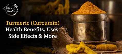 Turmeric Benefits Uses Side Effects And More Organic Gyaan