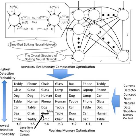 The Relationship Between The Spiking Neural Network Architecture With