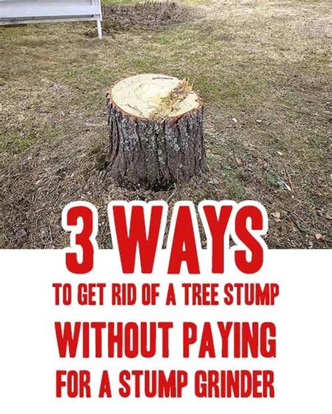 Easy Way To Remove Tree Stumps Part Howtormeov