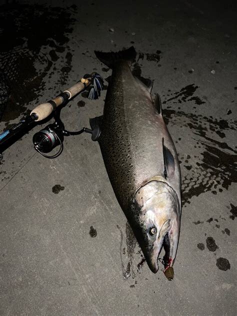 Pier Thread 2023 New York Fishing Reports Lake Ontario South Shore