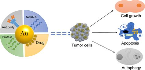 Gold Nanoparticles Use at Elizabeth Wilkerson blog