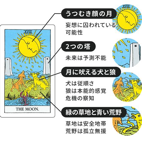 タロットカード【月】正位置・逆位置の意味とキーワードをまとめて解説 Cocoloni占い館 Sun