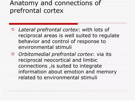 Anatomy And Connections Of Prefrontal Cortex Ppt