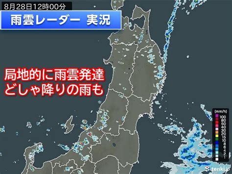 北海道や東北、北陸付近に発達した雨雲 所々でザーザー降りの雨 台風10号の影響も気象予報士 日直主任 2023年08月28日 日本気象