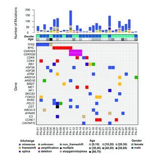 The Mutational Landscape Of Somatic Alterations Mutated Genes Are