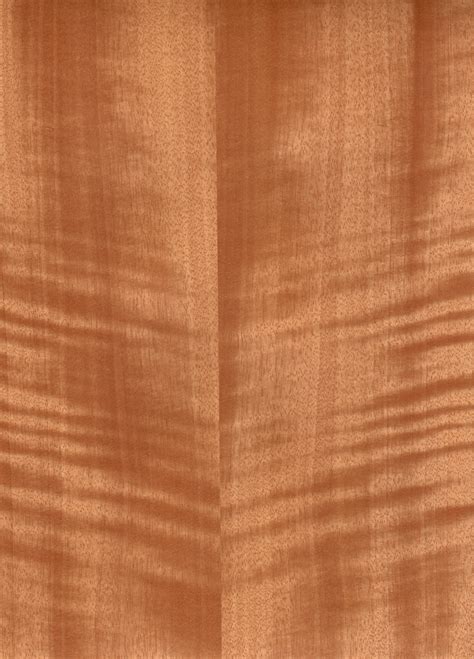 Wood Solutions Real Wood Veneer Species