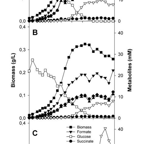 Growth And Metabolite Production Of A E Coli Bw25113 Wild Type And