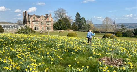 Mothers Day Open Gardens And Tea Acton Scott Hall Church Stretton