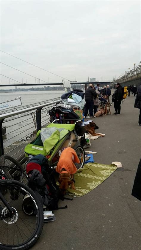 Nikolaus F R Obdachlose Und Ihre Vierbeinigen Freunde Nd Hand Tiere E V