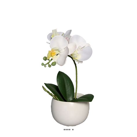 Jolie Fausse Orchid E En Pot Cm Artificielles