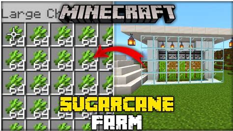 Easy Automatic Sugarcane Farm In Minecraft Bedrock Youtube