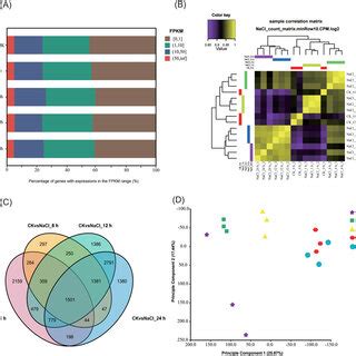 Expression Profiles Of RNA Sequencing Data At 0 1 6 12 And 24 H