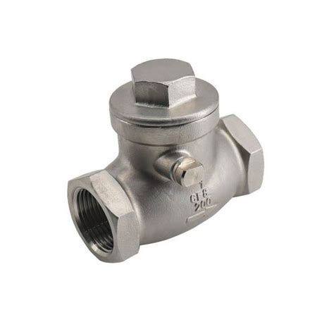 Guardian 1 1 4 In 316 Stainless Steel 200 PSI Swing Check Valve