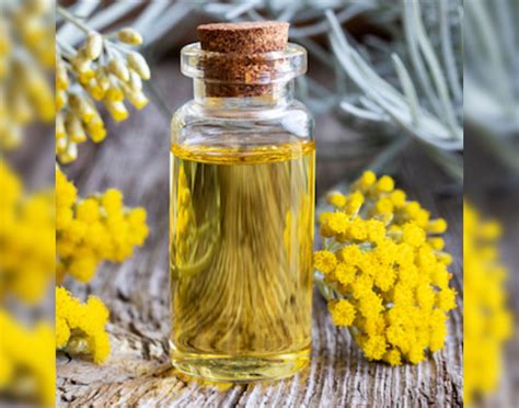 30 Types Of Essential Oils Their Benefits Uses And Side Effects Fitpass