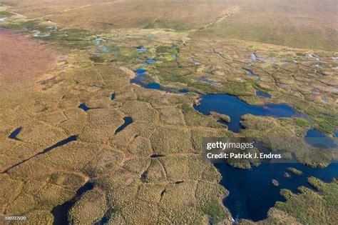 Aerial Of Polygons On The Tundra High Res Stock Photo Getty Images