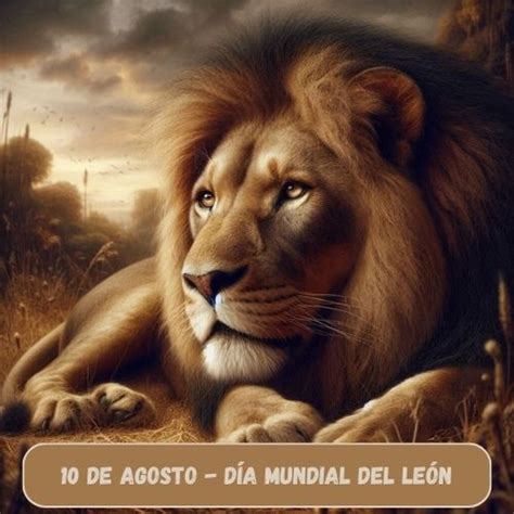 D A Mundial Del Le N Nete Al Esfuerzo Por Salvar A Los Leones