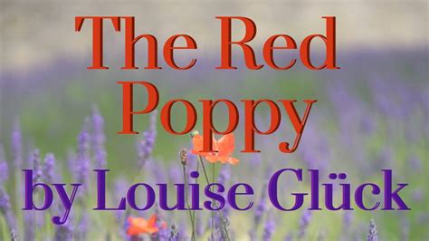 The Red Poppy By Louise Gl Ck Youtube