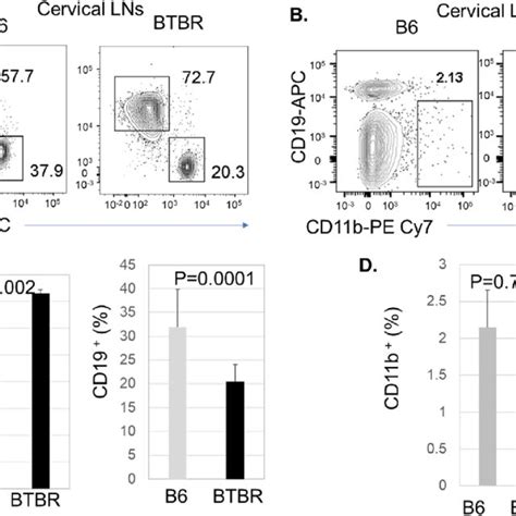 Btbr Mice Have Significantly Higher Frequency Of T Cells And Lower