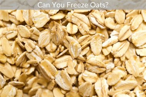 Can You Freeze Oats