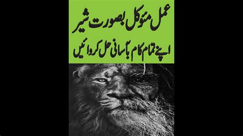 Moakil Basurat Lion Ky Hazir Krny Ka Amal Mokil Ki Taskhir Ka Amal