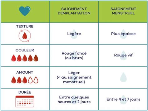 Saignement Dimplantation Ou Règles Ivf Life