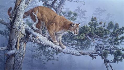 North American Wildlife Art Artists Smith Daniel Wildlife Daniel