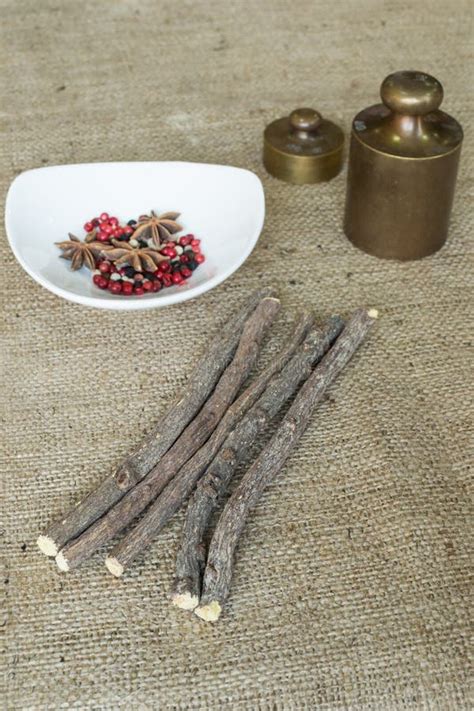 Liquorice root sticks stock image. Image of natural, dried - 31743561