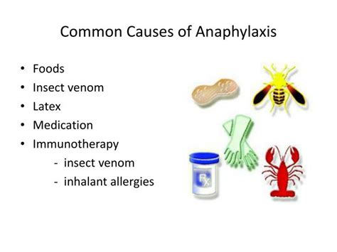 Ppt Understanding Anaphylaxis And Epi Pen Training Powerpoint