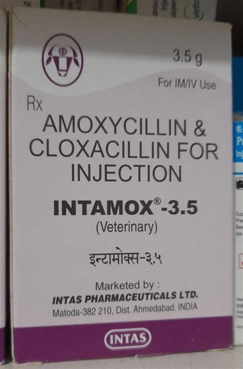 Intamox 3 5 Gm At Rs 95 Amoxycillin Cloxacillin Injection In