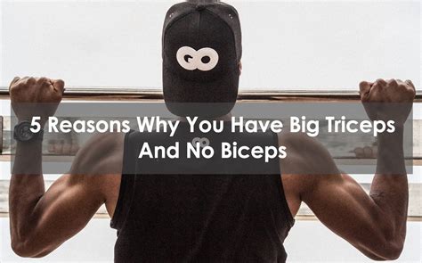 5 Reasons Why You Have Big Triceps And No Biceps