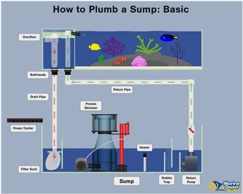 Designing A Reef Filtration System Is Easy With Marine Depots Complete