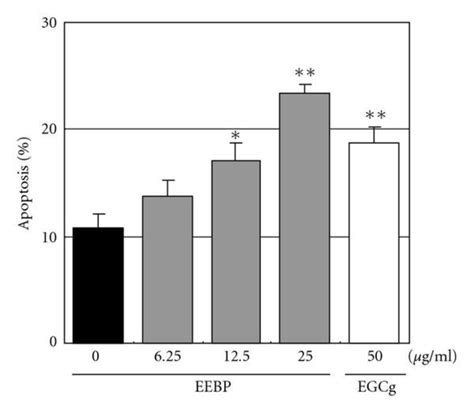 EEBP Inhibits Tube Formation Induces Apoptosis And Inactivates ERK1 2