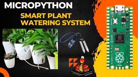 Smart Plant Watering System Using Raspberry Pi Pico And Micropython