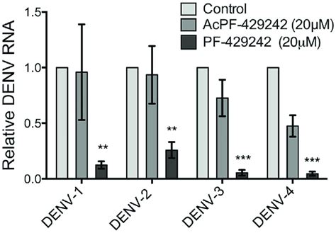 Pretreatment Of Huh 7 5 1 Cells With PF 429242 Results In A Robust