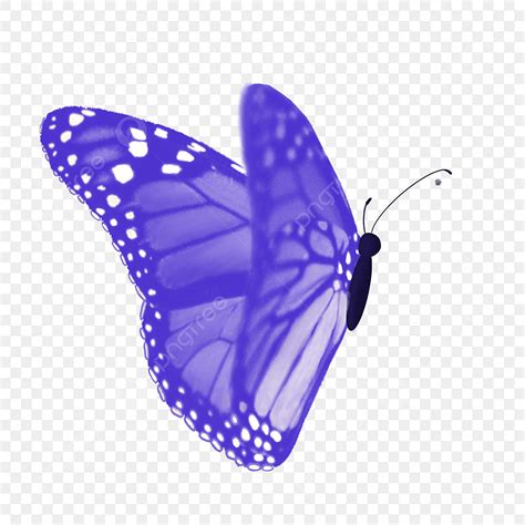 Picture Material White Transparent Blue And White Butterfly Png